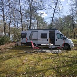 Product afbeelding - Weinsberg CaraBus 600 ME