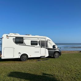 Produktbillede - Carado V 339 Edition 15