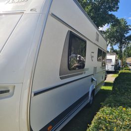 Obrázek produktu - Fendt 515 bianco