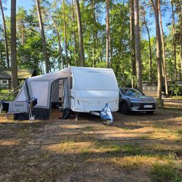 Produktbild - Weinsberg CaraOne 390QD